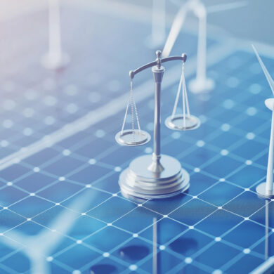 Recursos de reclamación y defensa en litigios ambientales